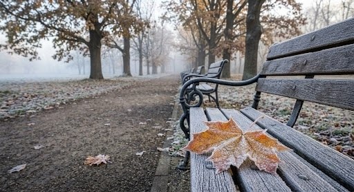 Фото поста канала  IvanovoNEWS | Барс | Новости | Иваново