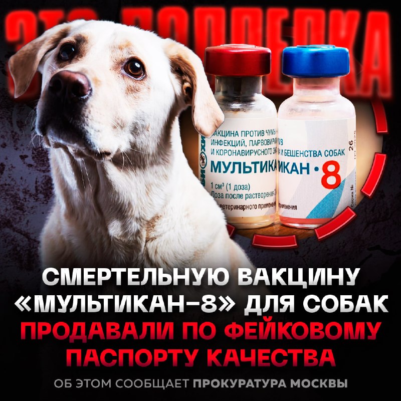 Фото поста канала  Рифмы и Панчи 🤯