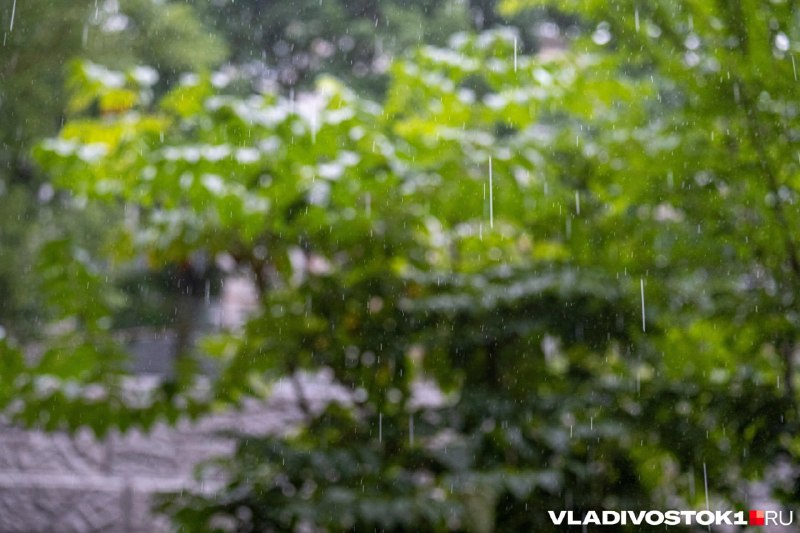 Фото поста канала  VLADIVOSTOK1.RU | Новости Приморья