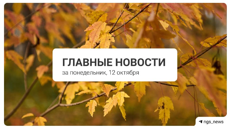 Фото поста канала НГС — новости Новосибирска