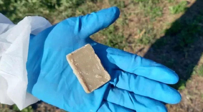 Фото поста канала  Новый Мелитополь