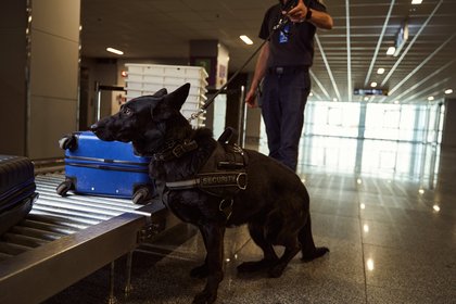 Фото поста канала  Лента Новостей