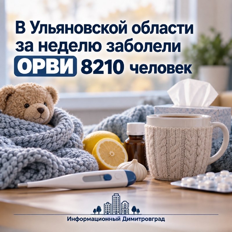 Фото поста канала  Информационный Димитровград