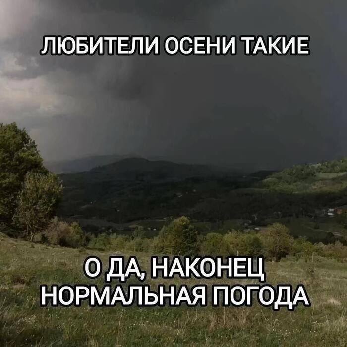 Фото поста канала  Мониторинг 45 Курганская область