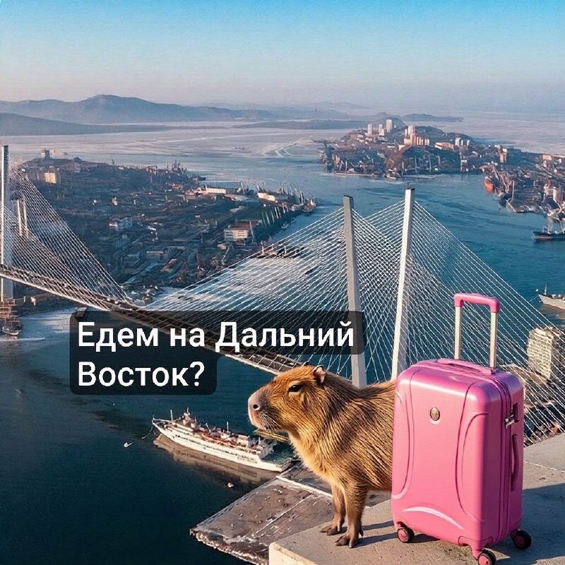Фото поста канала  ДаВос