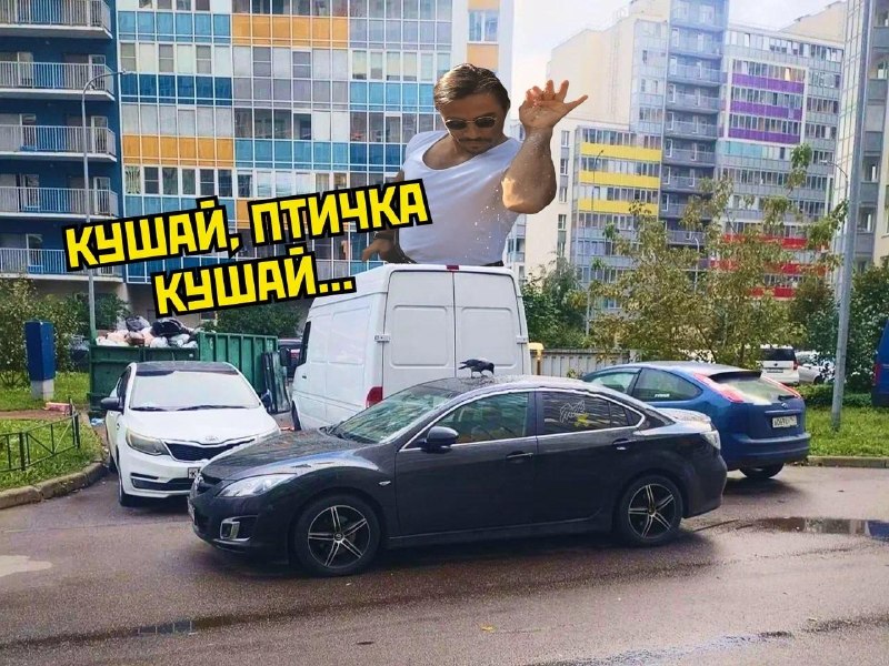 Фото поста канала  MDK Петербург