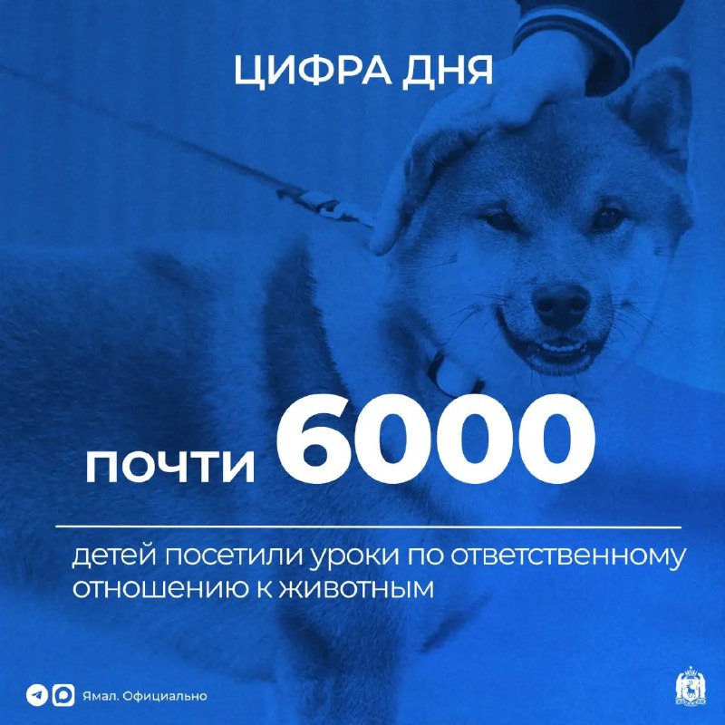 Фото поста канала  Мониторинг 89 Ямало-Ненецкий АО