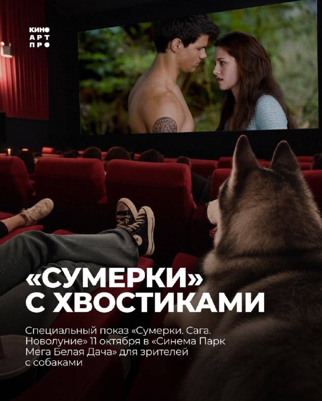 Фото поста канала Передали коллегам