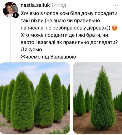 Фото поста канала  Мирослава Бердник
