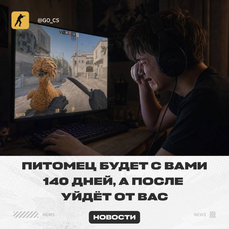 Фото поста канала Counter-Strike 2