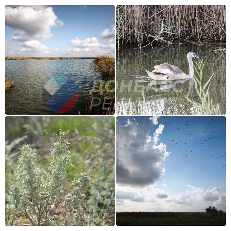Фото поста канала  Донбасс решает