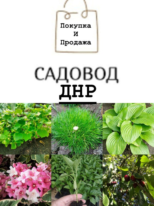 Фото поста канала  Новости и Сводки ДНР