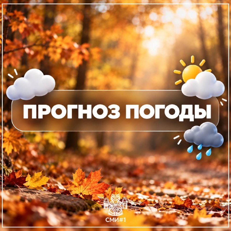 Фото поста канала  Новости Саратова и Области
