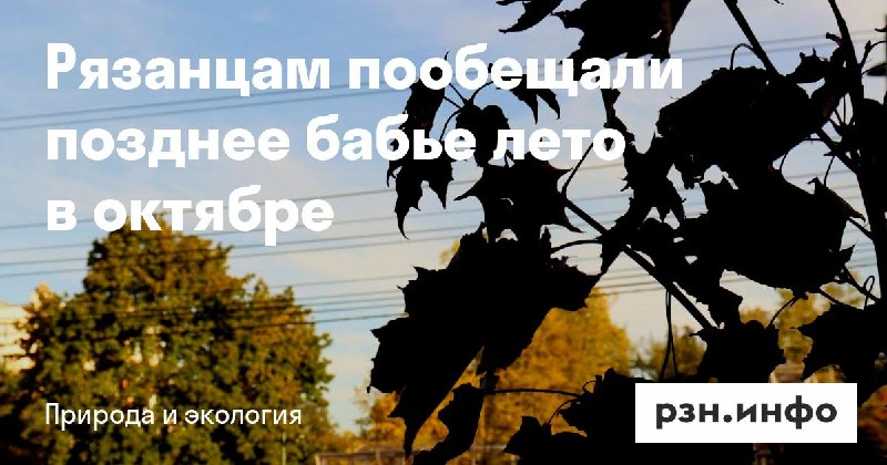 Фото поста канала  Новости Рязани • РЗН.инфо