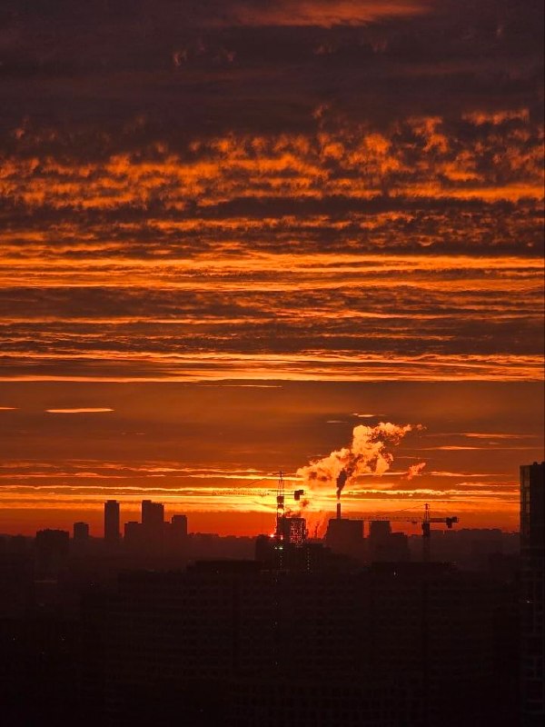 Фото поста канала Москва 24