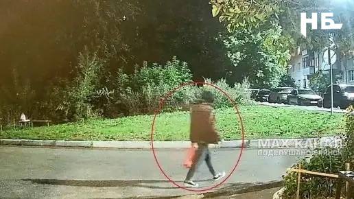 Фото поста канала  НОВОСТИ БРЯНСКА