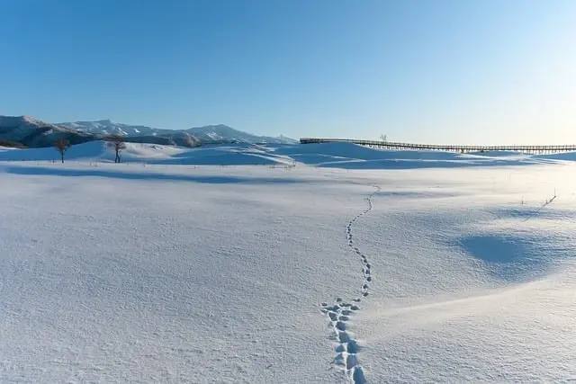 Фото поста канала Пул N3