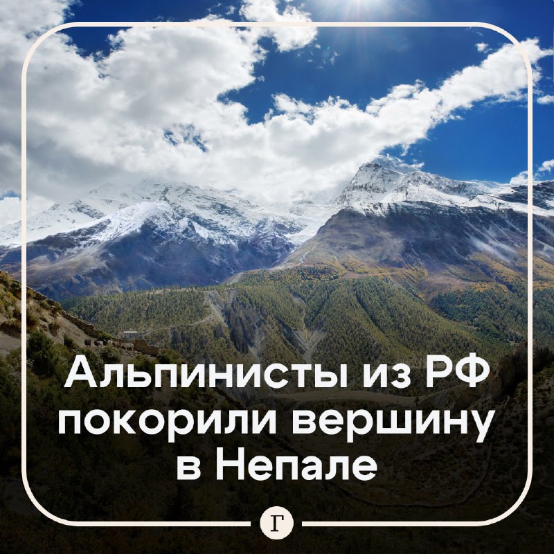 Фото поста канала  Газета.Ru