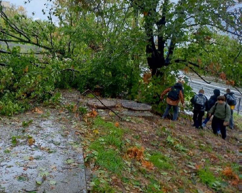 Фото поста канала  Тревожный Севастополь