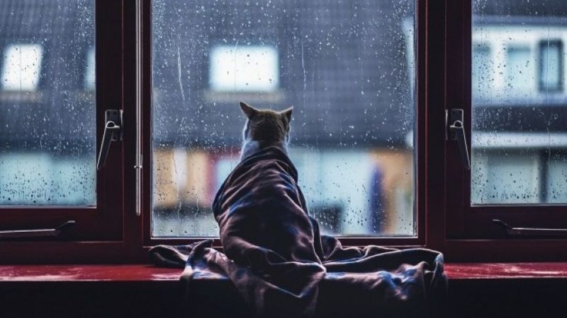 Фото поста канала  Одесса News - новости Одессы
