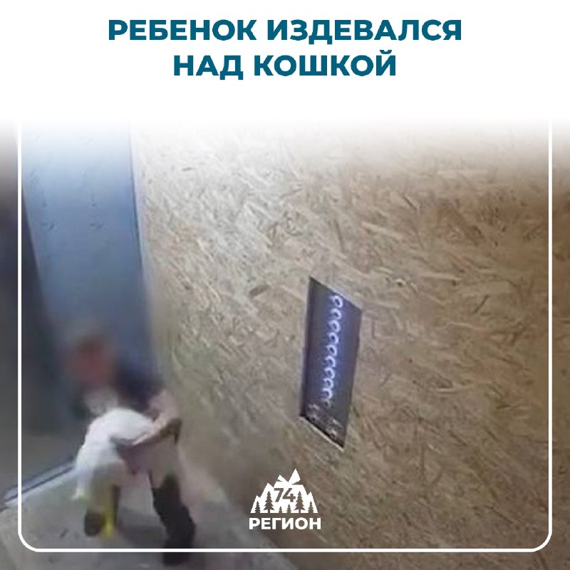 Фото поста канала  Регион 74 | Южный Урал и Челябинск