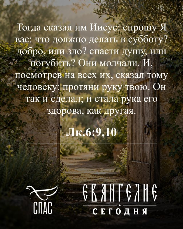 Фото поста канала  Телеканал СПАС