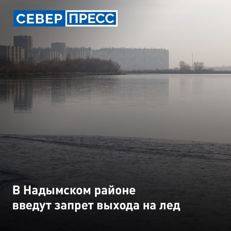 Фото поста канала  Мониторинг 89 Ямало-Ненецкий АО