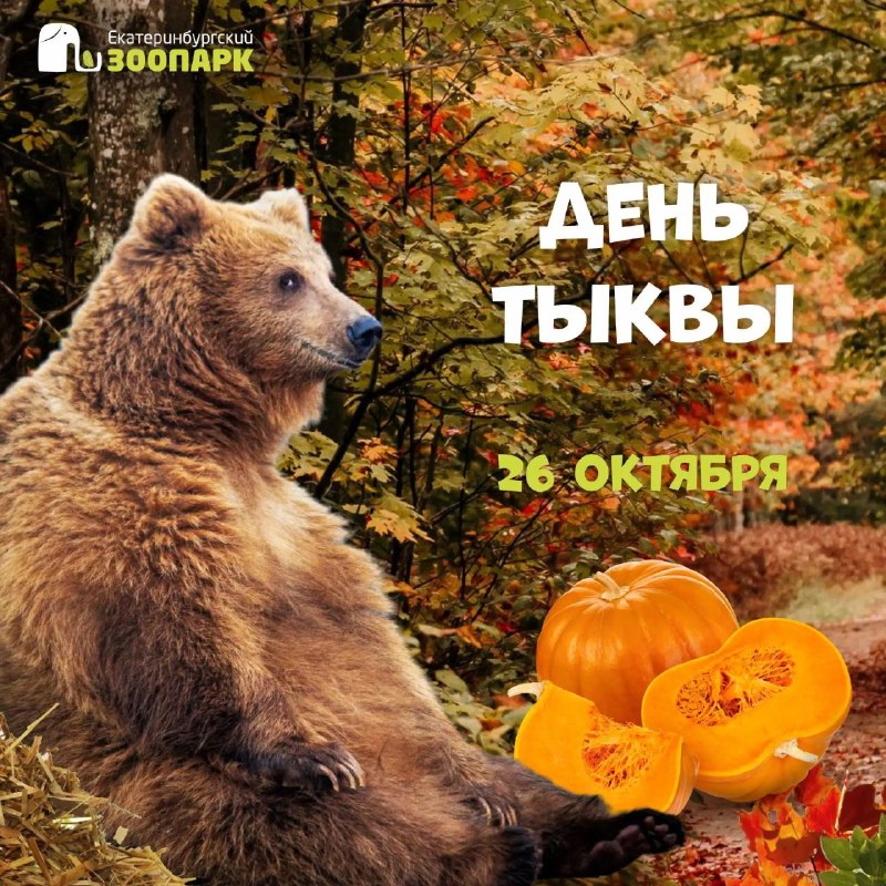 Фото поста канала  Ревдинский рабочий | Ревда