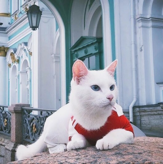 Фото поста канала 1703
