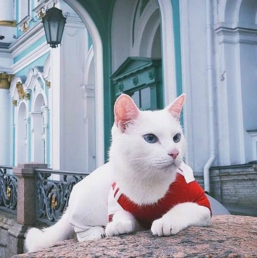 Фото поста канала Новости Питера | Санкт Петербурга