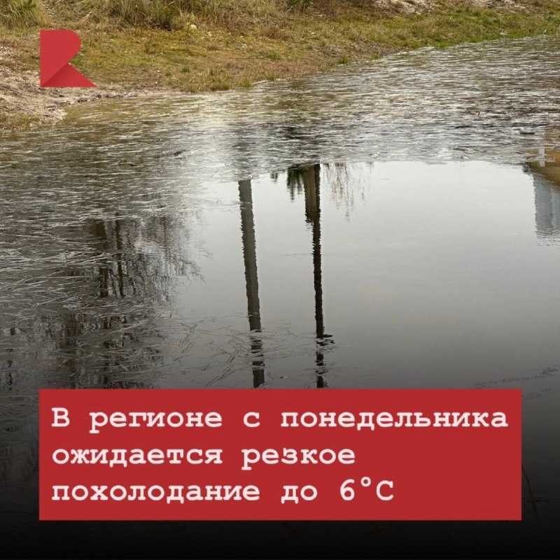 Фото поста канала RZN LIFE | ЖИЗНЬ РЯЗАНИ | РЯЗАНЬ
