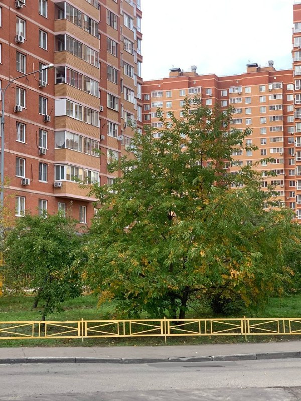 Фото поста канала  НОВОЕ ПАВЛИНО