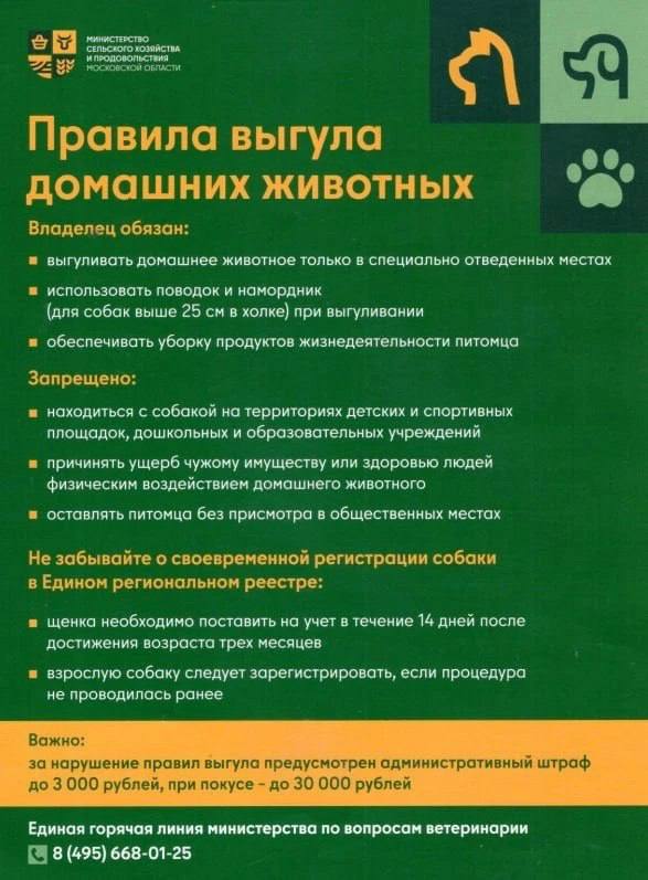 Фото поста канала Мои Люберцы ®️