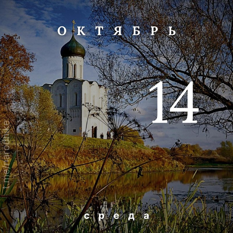 Фото поста канала  🇷🇺 Новости|Республик|ЛНР|ДНР|ZOV|Rus