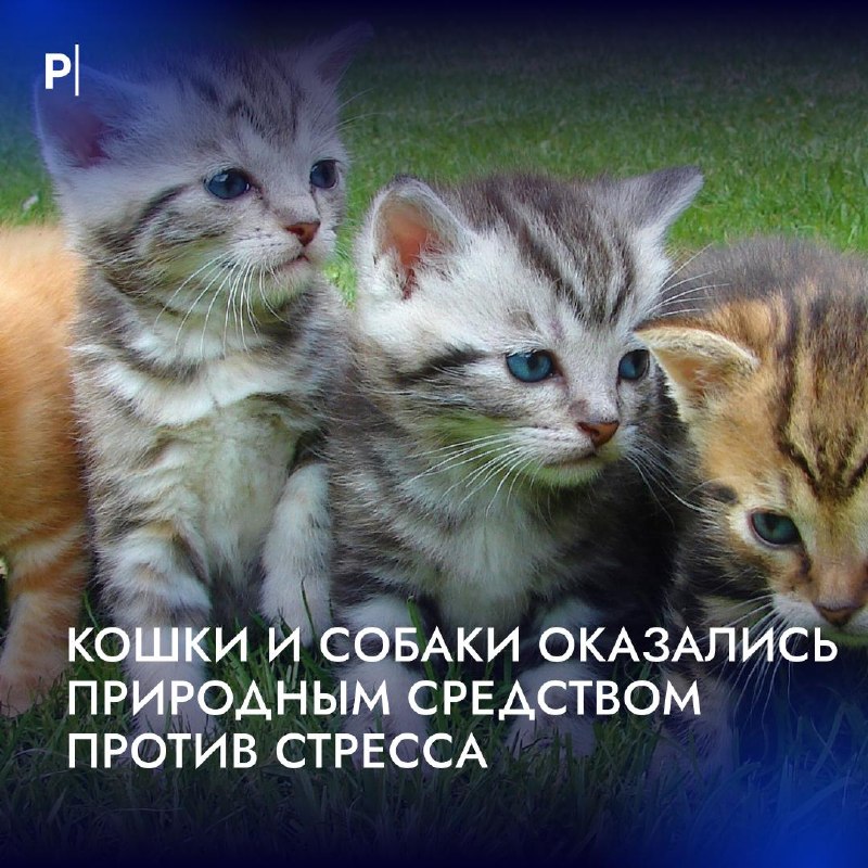 Фото поста канала  PostNews