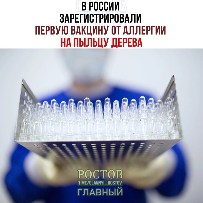 Фото поста канала  Ростов Главный новости