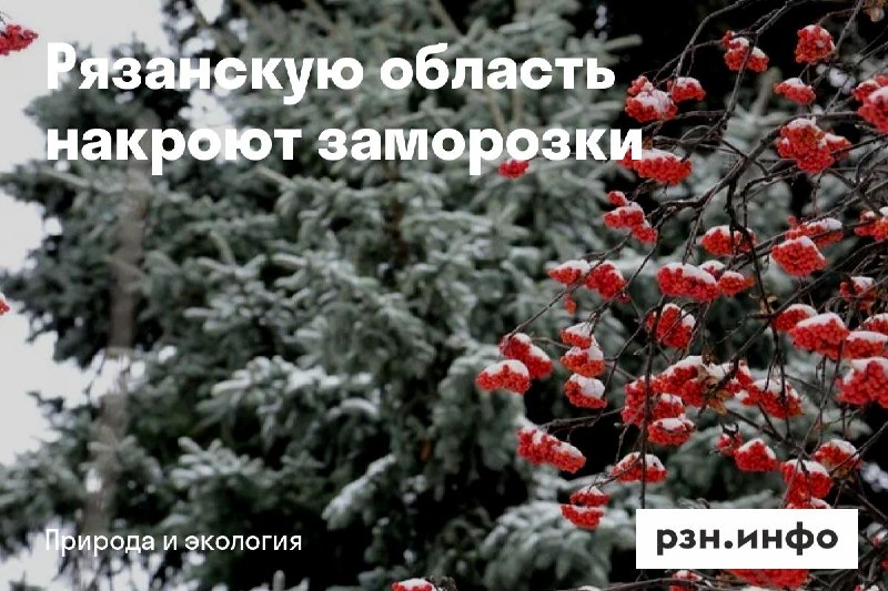Фото поста канала  Новости Рязани • РЗН.инфо