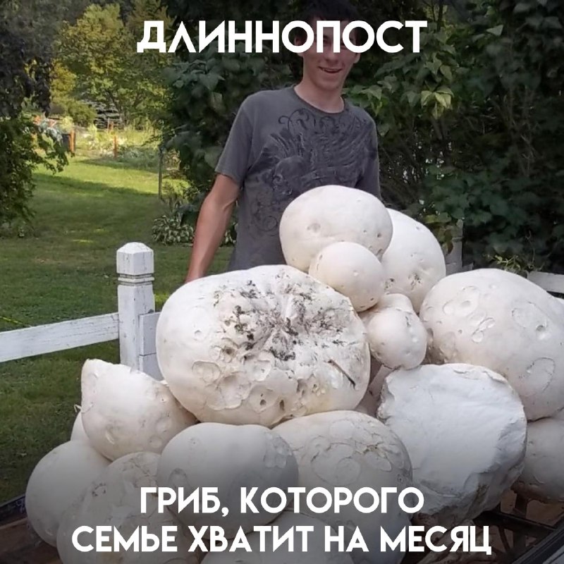 Фото поста канала Пикабу