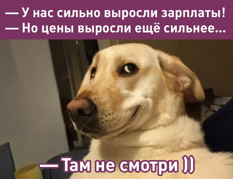 Фото поста канала  Лентач