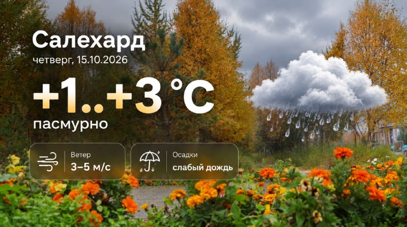 Фото поста канала  САЛЕХАРД онлайн