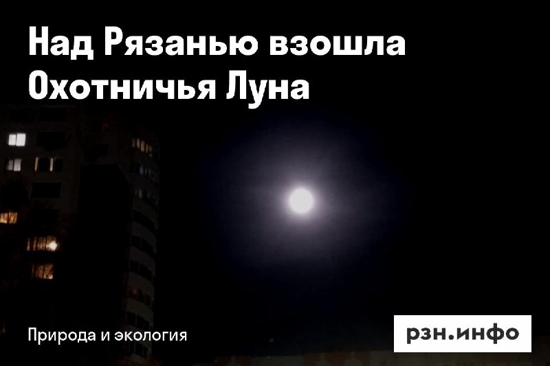 Фото поста канала  Новости Рязани • РЗН.инфо