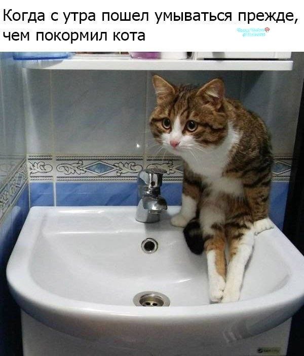 Фото поста канала  Ходють тут всякие!🍄