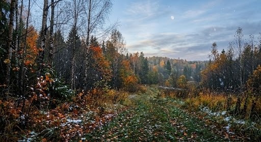Фото поста канала  IvanovoNEWS | Барс | Новости | Иваново