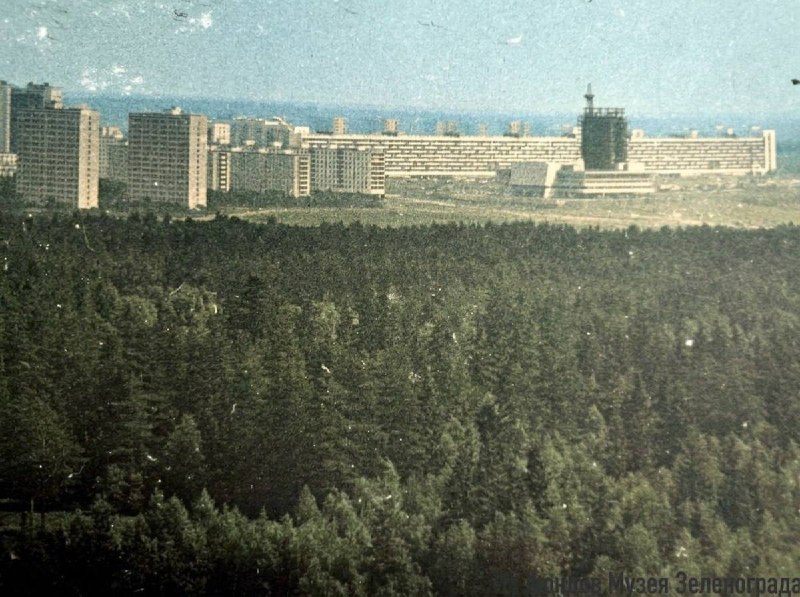 Фото поста канала  ZELENOGRAM | ЗЕЛЕНОГРАД