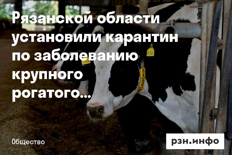 Фото поста канала  Новости Рязани • РЗН.инфо