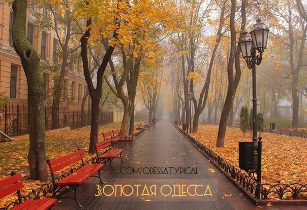 Фото поста канала  Типичная Одесса