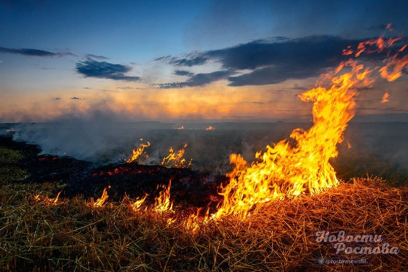 Фото поста канала  Новости Ростова - Rostovnews61