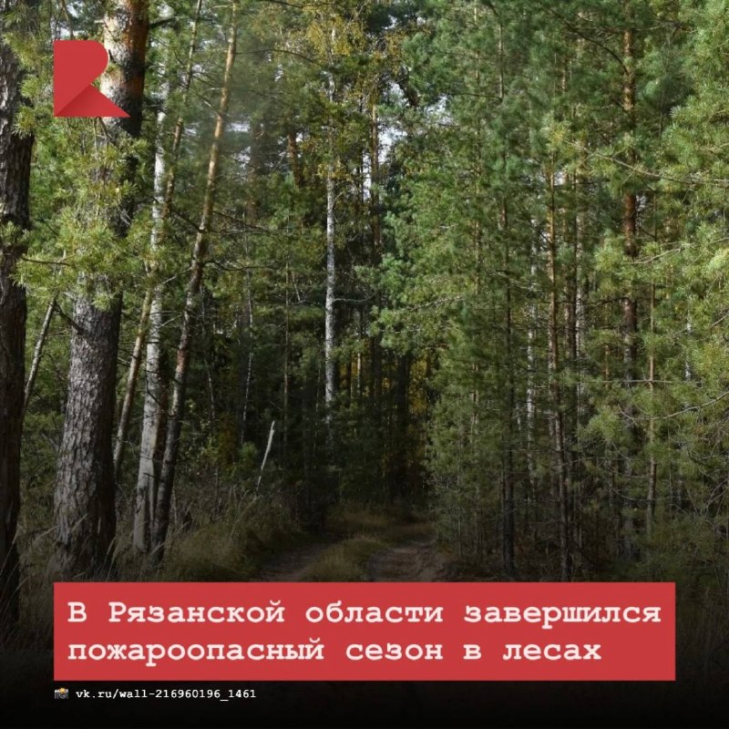 Фото поста канала RZN LIFE | ЖИЗНЬ РЯЗАНИ | РЯЗАНЬ