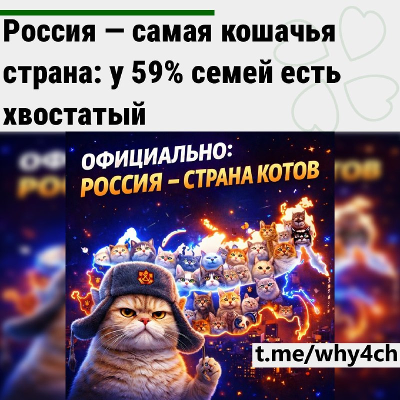 Фото поста канала 4ch