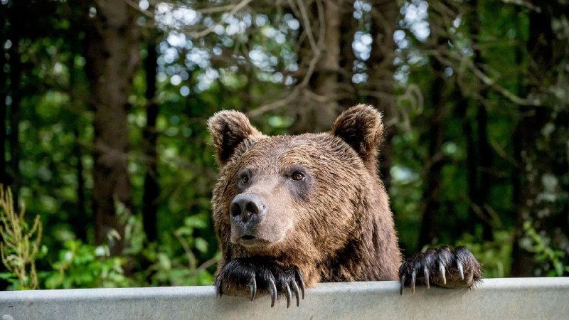 Фото поста канала  MIRBY